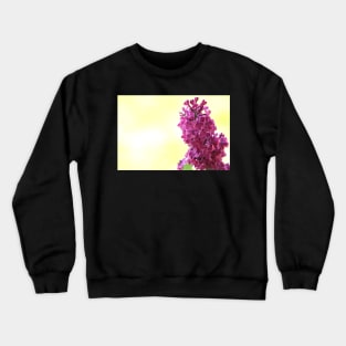 Purple lilac branch close up, flower photography Crewneck Sweatshirt